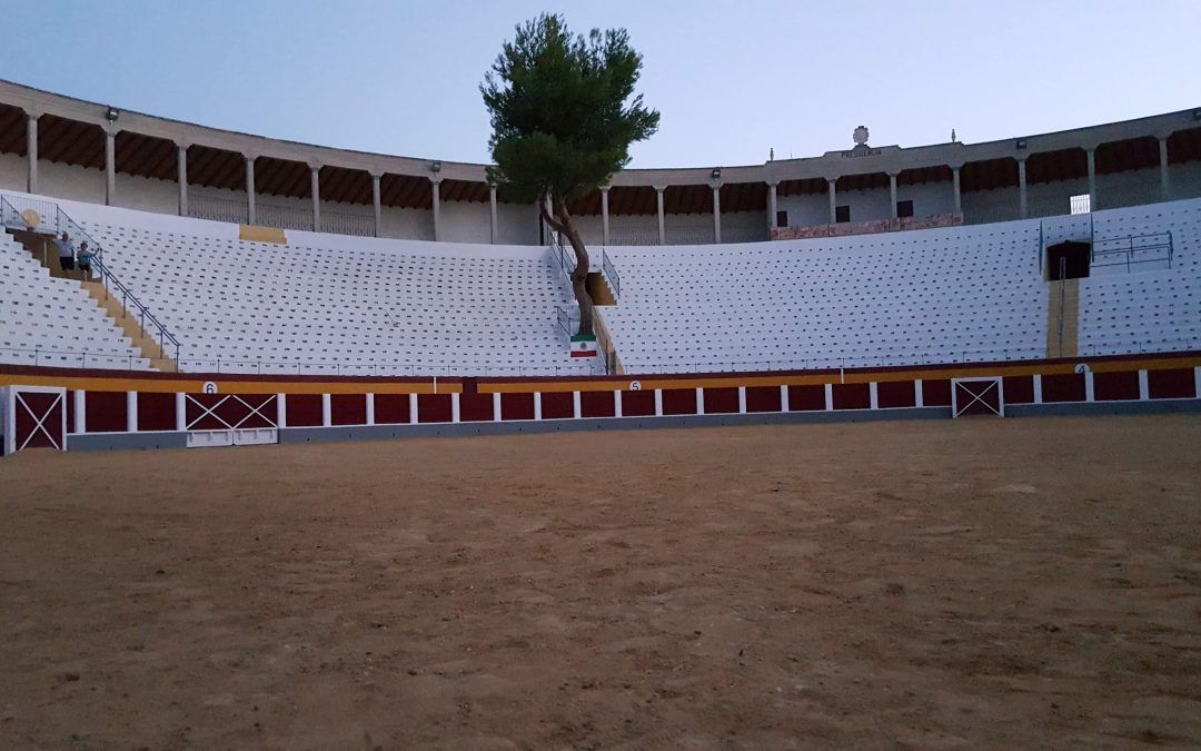 Cehegín y su Tradición Taurina: Un Legado que Perdura en las Fiestas Patronales